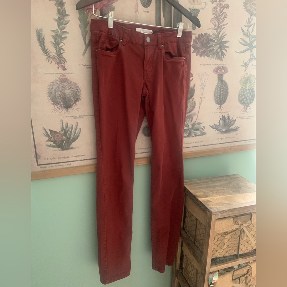 Brick Red Color Straight Fit Jeans